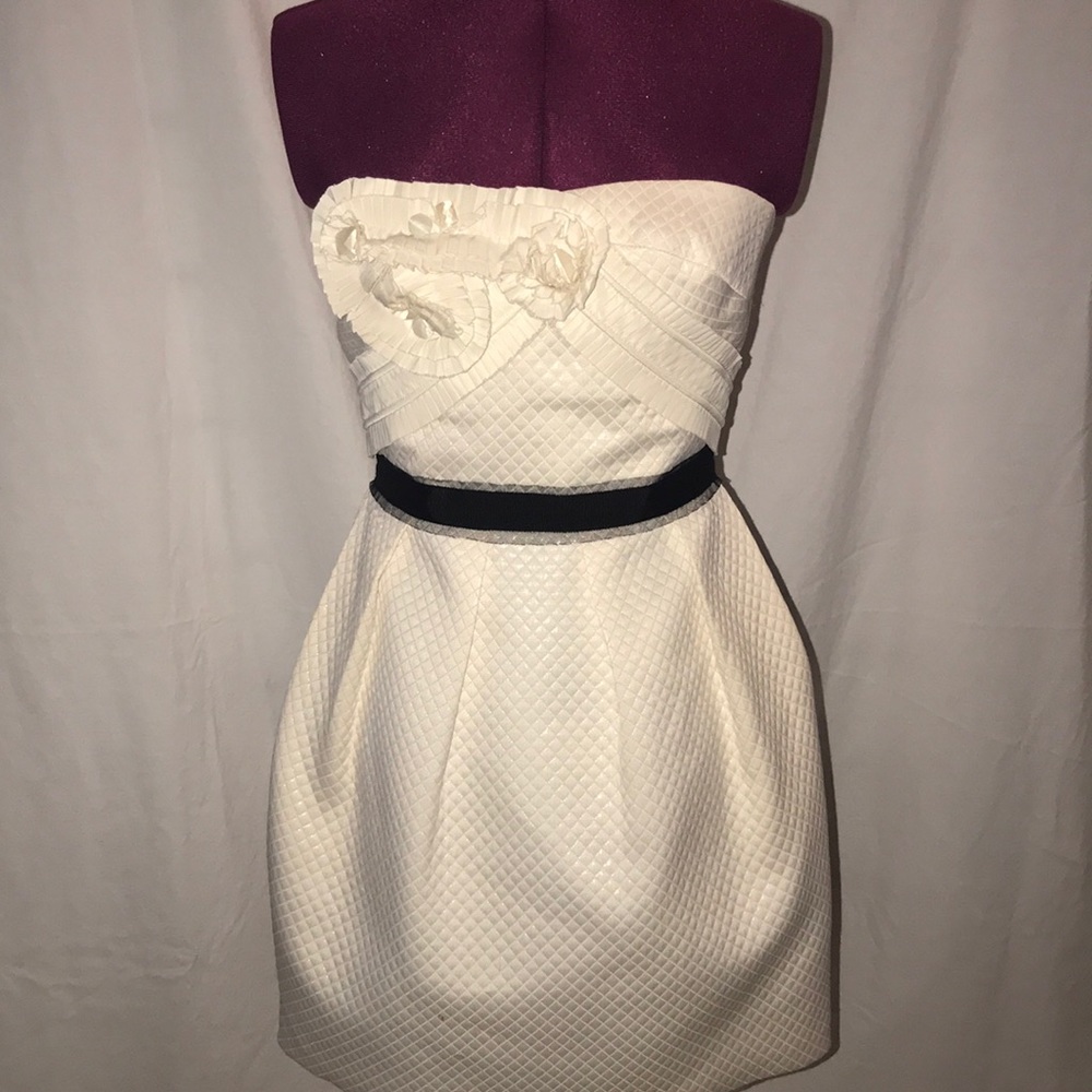BCBG corset party dress 👗